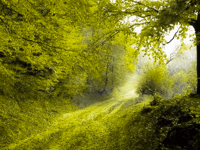 Simulated Daltonised