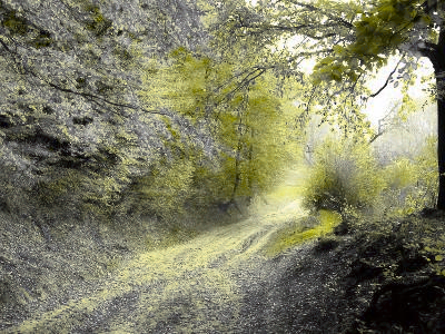 Simulated Daltonised