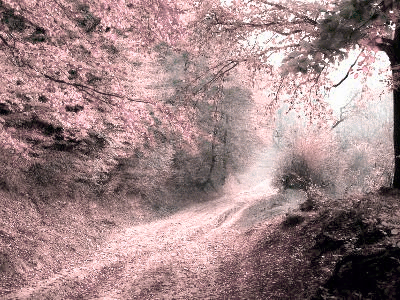 Simulated Daltonised